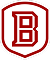 Bradley University