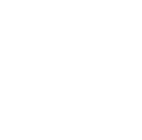 International Baccalaureate World School